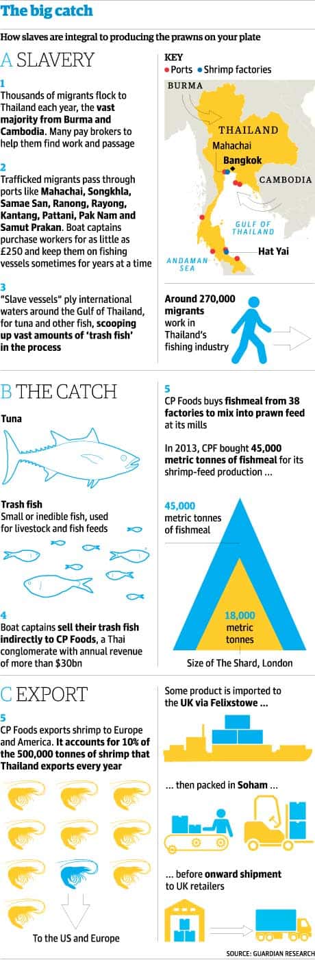 Graphic on seafood enslavement from The Guardian